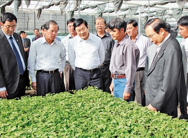 Президент Вьетнама Чыонг Тан Шанг посетил провинцию Ламдонг   - ảnh 1